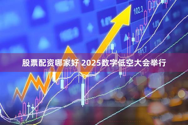 股票配资哪家好 2025数字低空大会举行