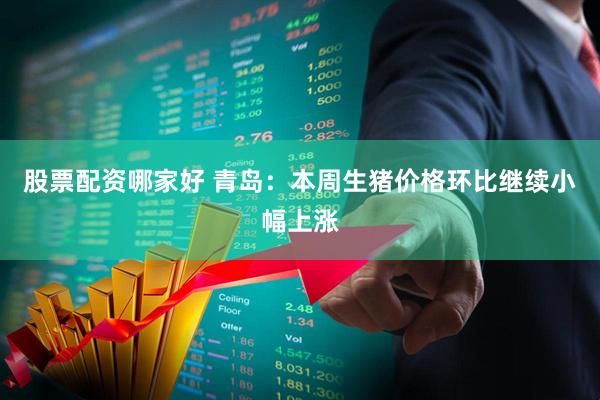 股票配资哪家好 青岛：本周生猪价格环比继续小幅上涨