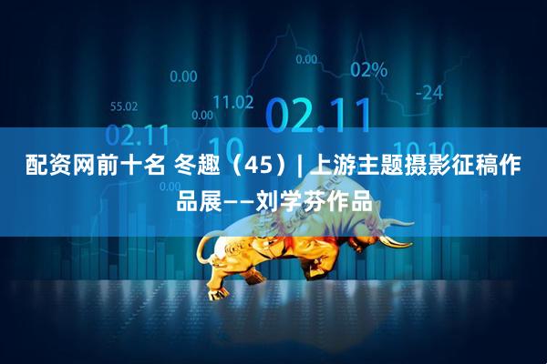 配资网前十名 冬趣（45）| 上游主题摄影征稿作品展——刘学芬作品