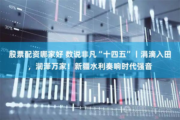 股票配资哪家好 数说非凡“十四五”丨涓滴入田，润泽万家！新疆水利奏响时代强音