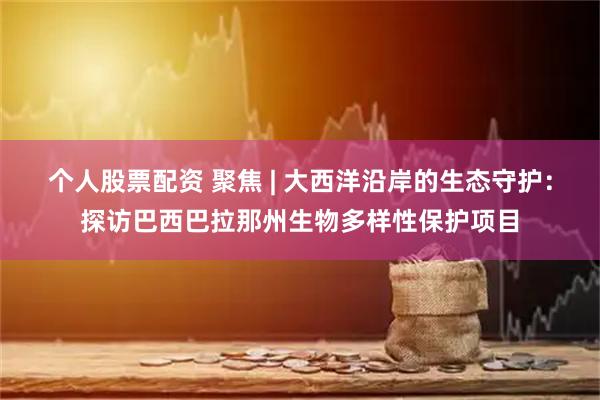 个人股票配资 聚焦 | 大西洋沿岸的生态守护：探访巴西巴拉那州生物多样性保护项目